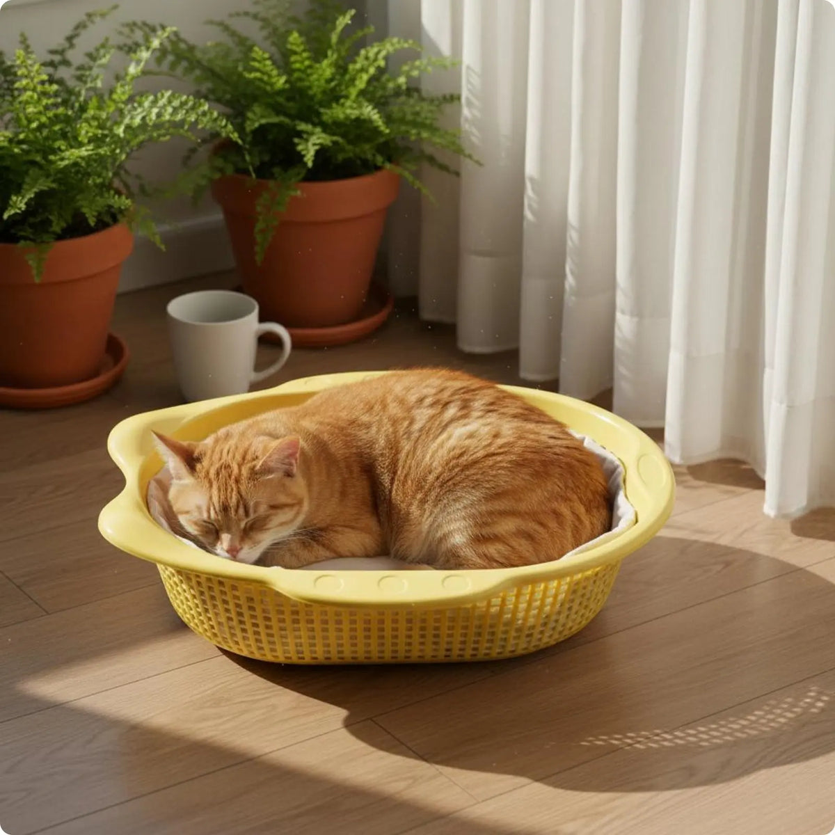 Letto Cestino Traspirante a Nido d'Ape per Gatti, Comodo e Morbido per il Riposo in Casa