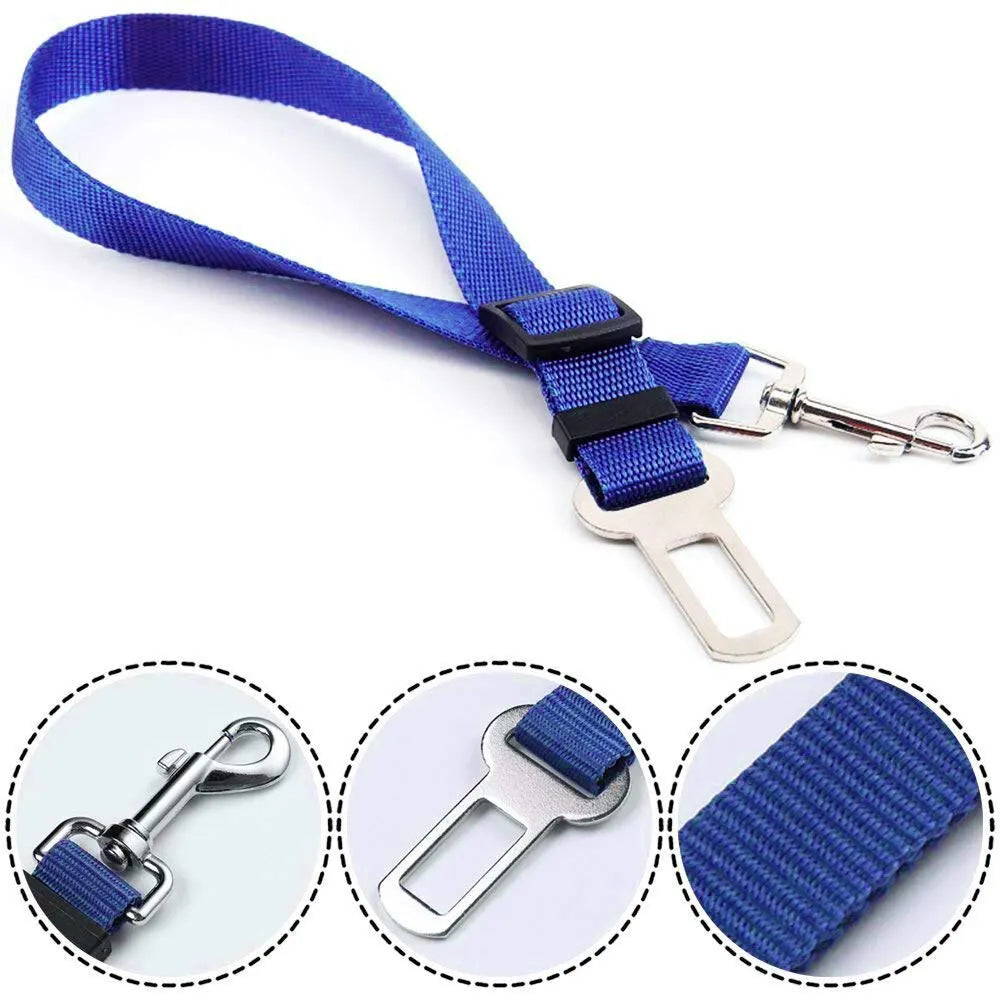 Sangle de sécurité réglable multicolore en nylon pour attacher un animal de compagnie en voiture