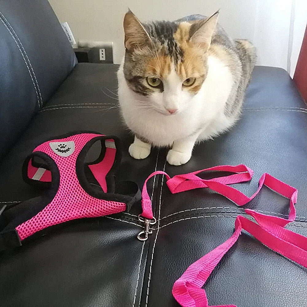 Breathable Mesh Pet Harness with Matching Leash for Cats and Small Dogs