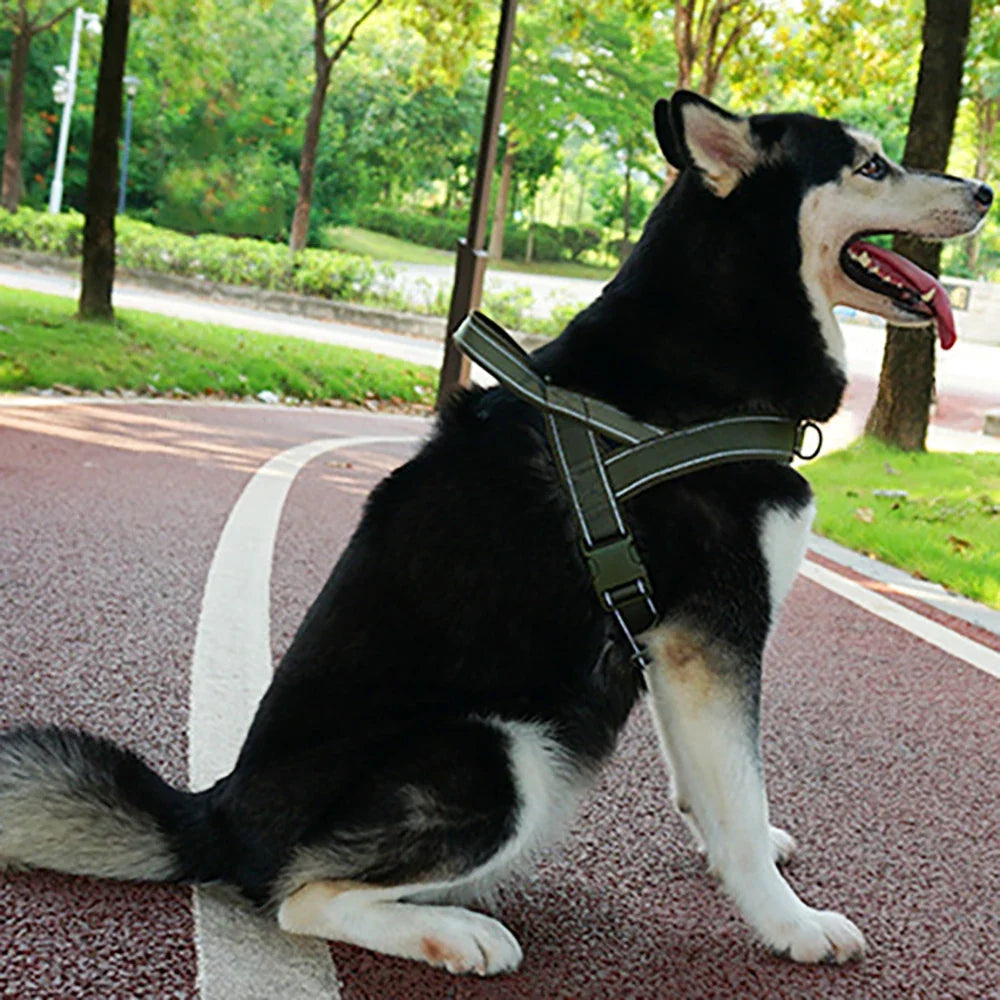 Imbracatura tattica robusta per cani con maniglia superiore, riflettente multicolore