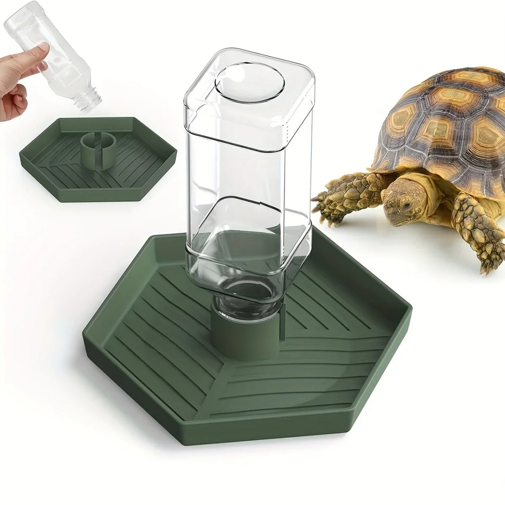 Distributore automatico di acqua esagonale verde con mangiatoia per piccoli rettili