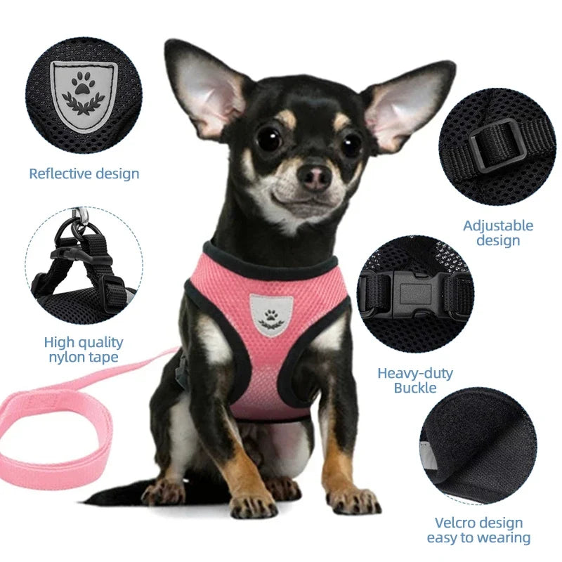 Breathable Mesh Pet Harness with Matching Leash for Cats and Small Dogs