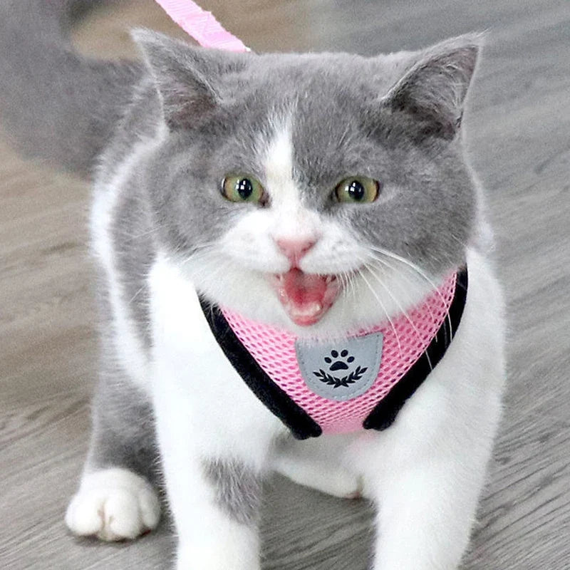 Breathable Mesh Pet Harness with Matching Leash for Cats and Small Dogs