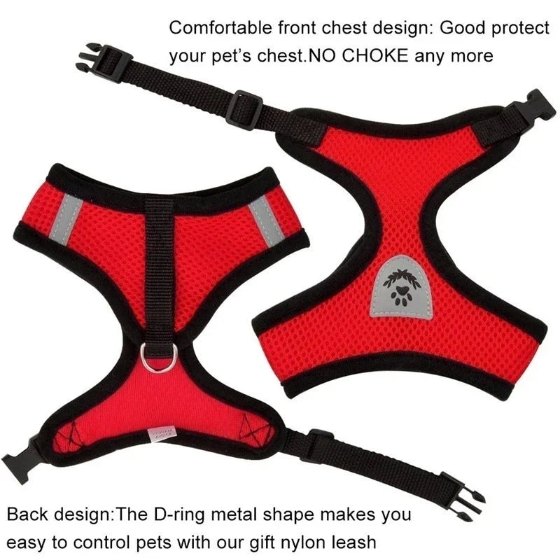 Breathable Mesh Pet Harness with Matching Leash for Cats and Small Dogs