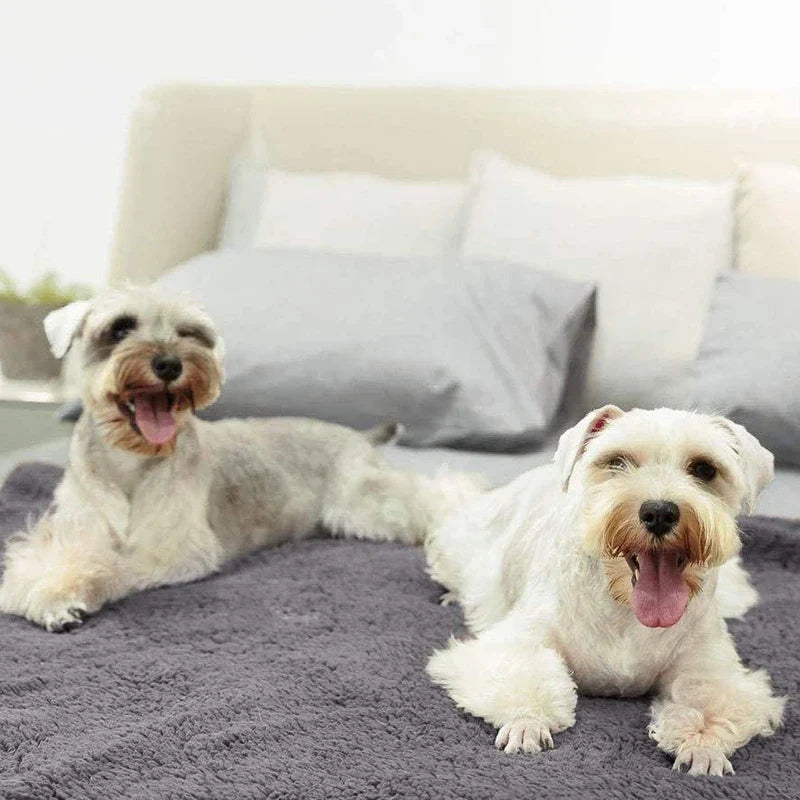 Coperta morbida in peluche grigio per animali, copridivano caldo e accogliente in pile per cani e gatti