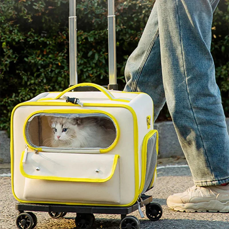 Borsa da Trasporto per Animali con Ruote e Finestra in Rete per Gatti e Cani