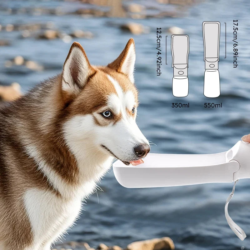 Tragbare, faltbare Wasserflasche mit Trinknapf für Hunde und Katzen