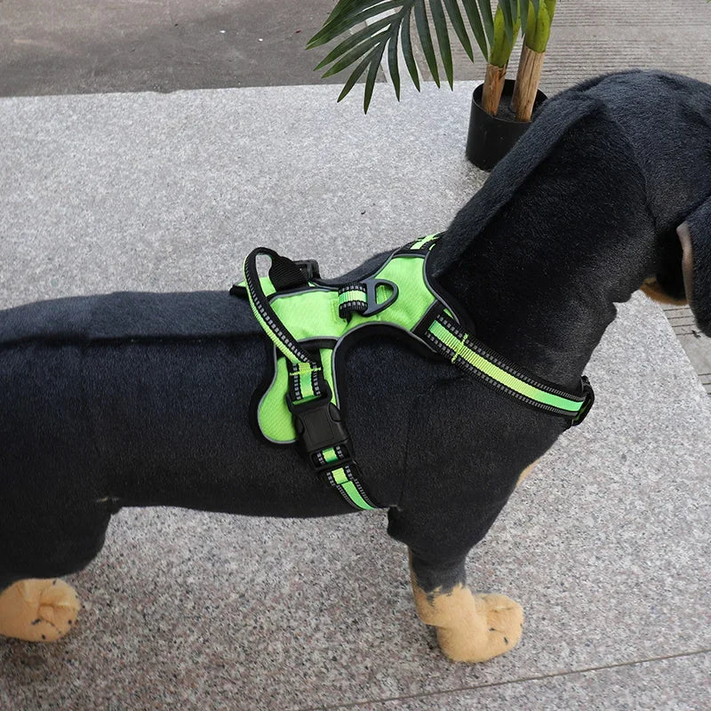 Imbracatura regolabile e imbottita anti-trazione per cani con strisce riflettenti, vari colori