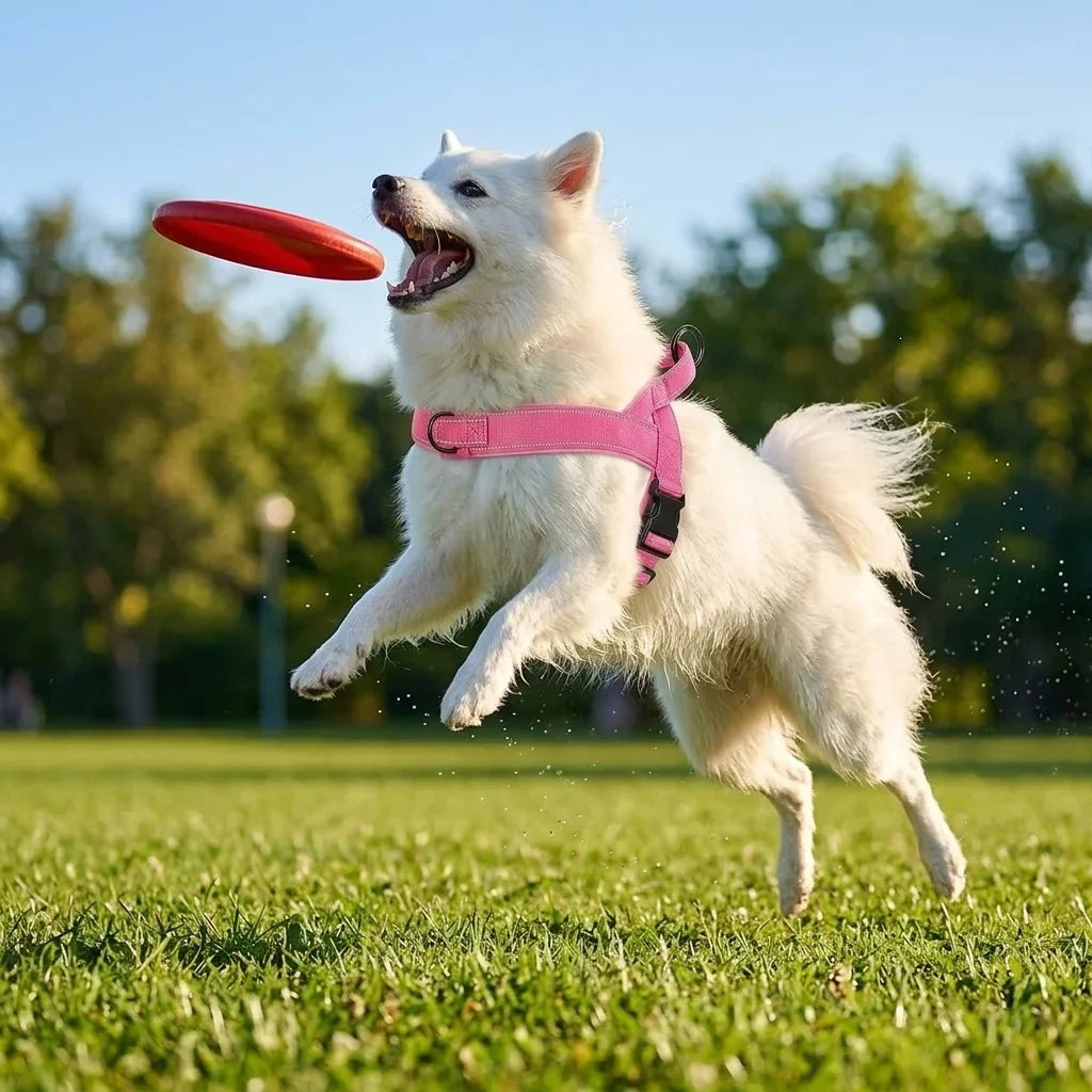 Pettorina regolabile riflettente per cani di taglia grande per passeggiate all'aperto