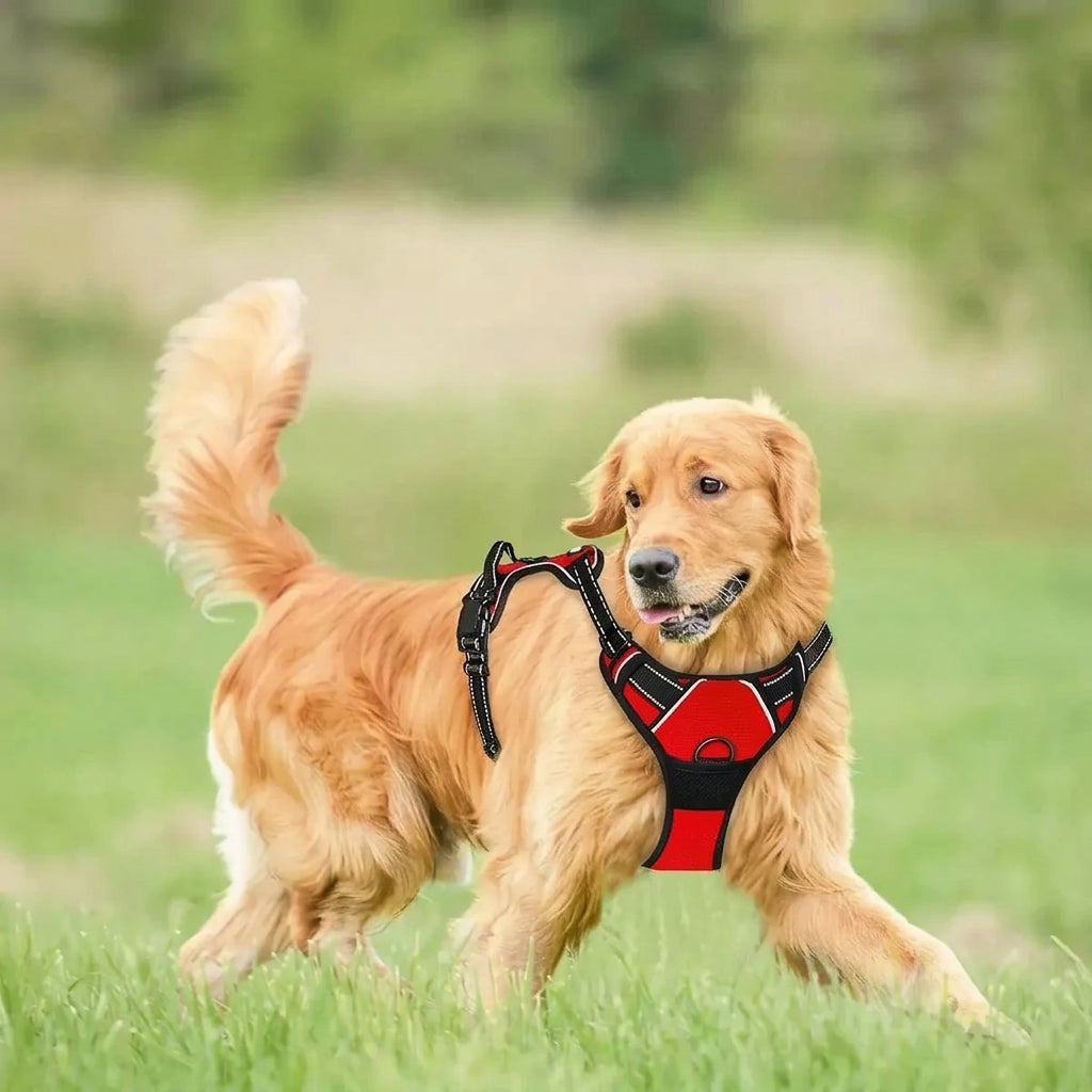 Imbracatura a pettorina riflettente regolabile anti-trazione per cani con cinghie a fibbia, disponibile in vari colori