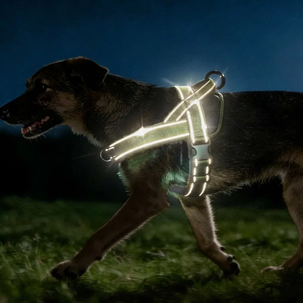 Pettorina regolabile riflettente per cani di taglia grande per passeggiate all'aperto