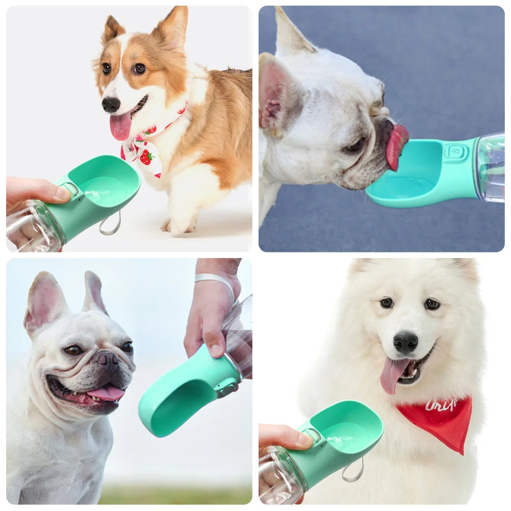 Borraccia portatile per animali con ciotola integrata multicolore