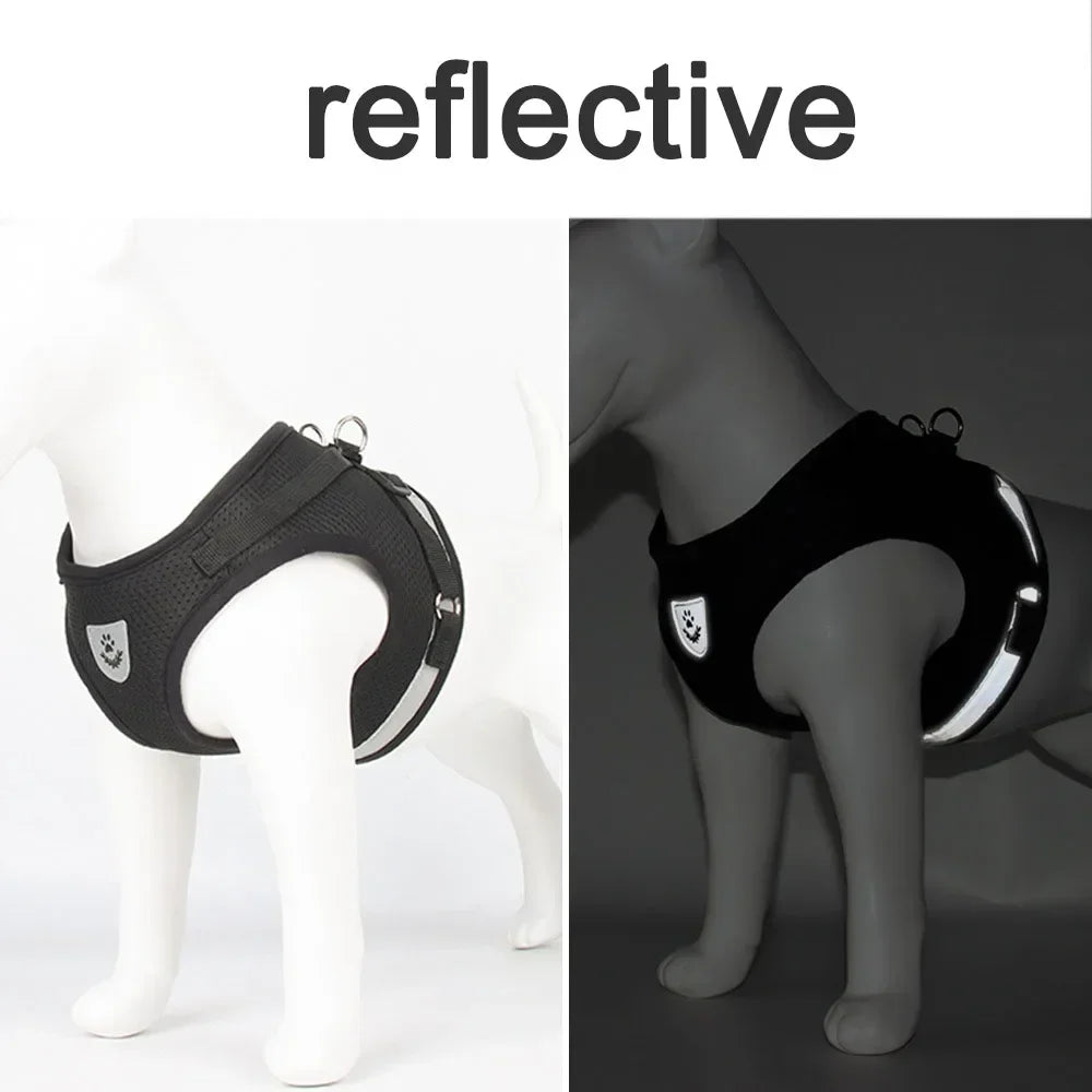 Verstellbares, reflektierendes Mesh-Geschirr mit Leine, atmungsaktive ausbruchsichere Weste