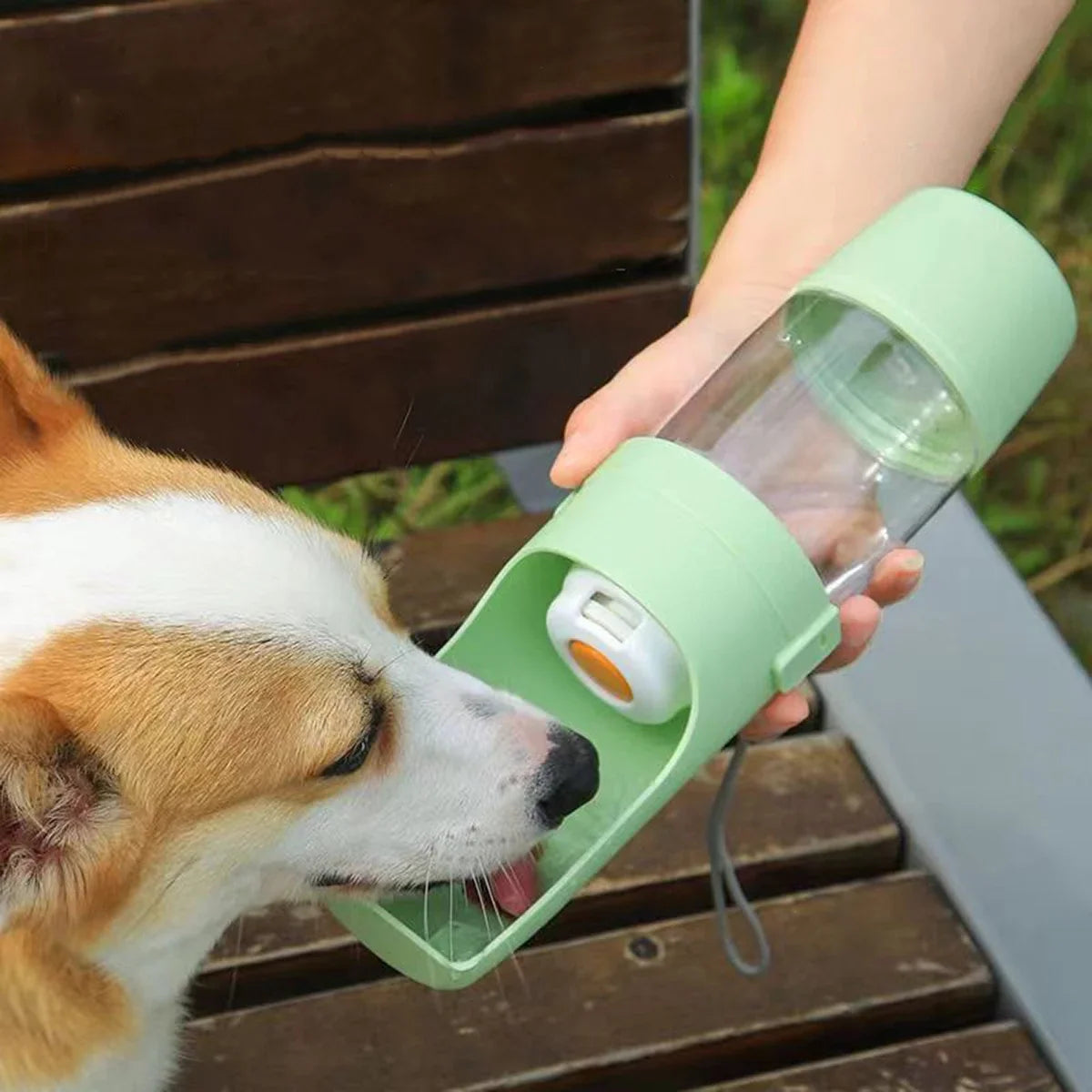 Garrafa de Água Portátil para Animais de Estimação com Compartimento para Ração Várias Cores