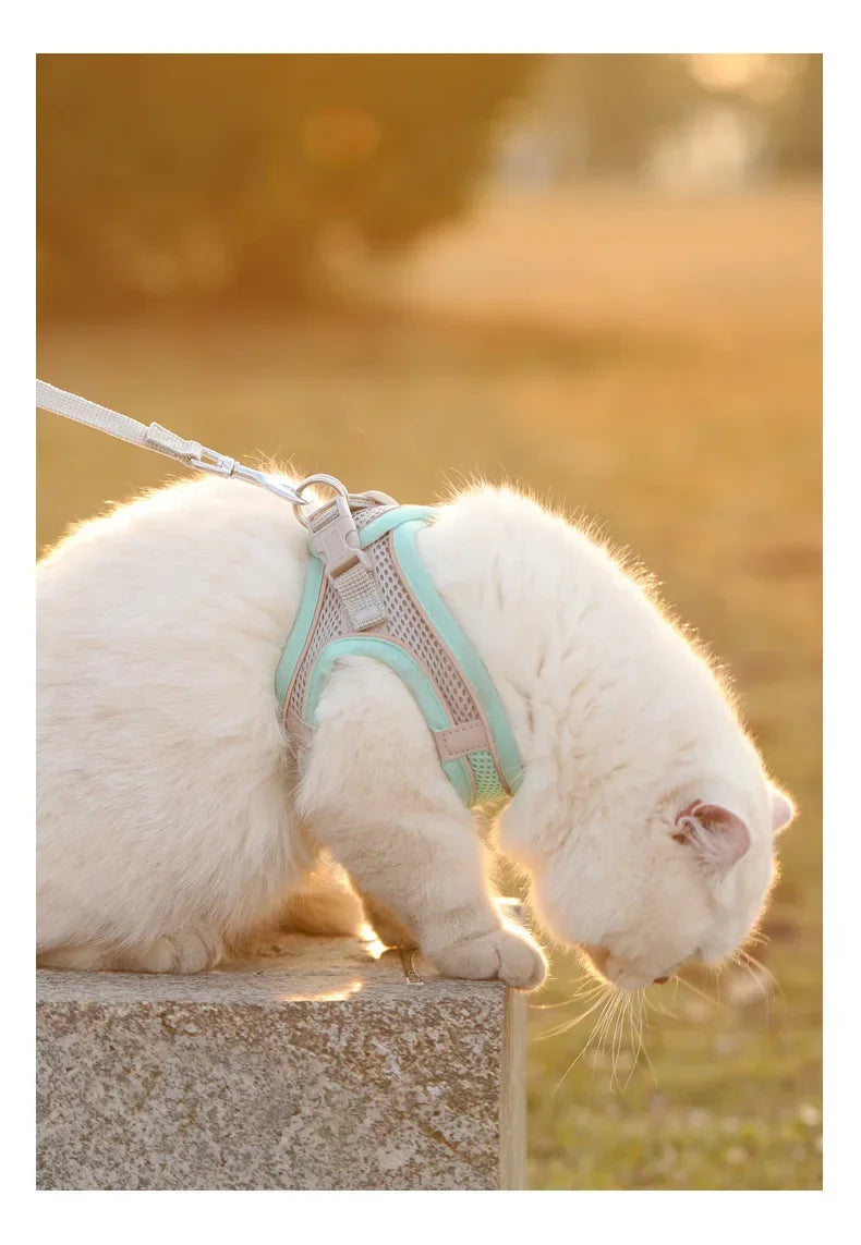 Breathable Reflective Mesh Vest Harness for Cats and Small Dogs