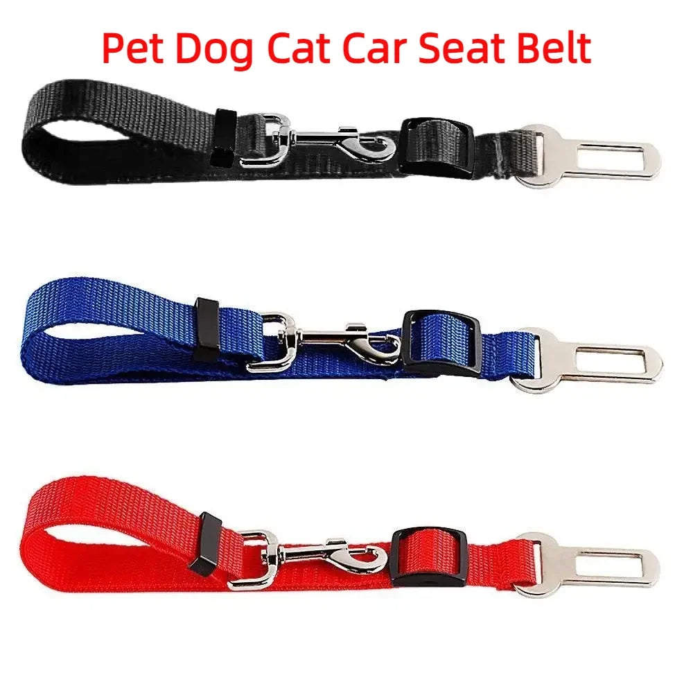 Sangle de sécurité réglable multicolore en nylon pour attacher un animal de compagnie en voiture