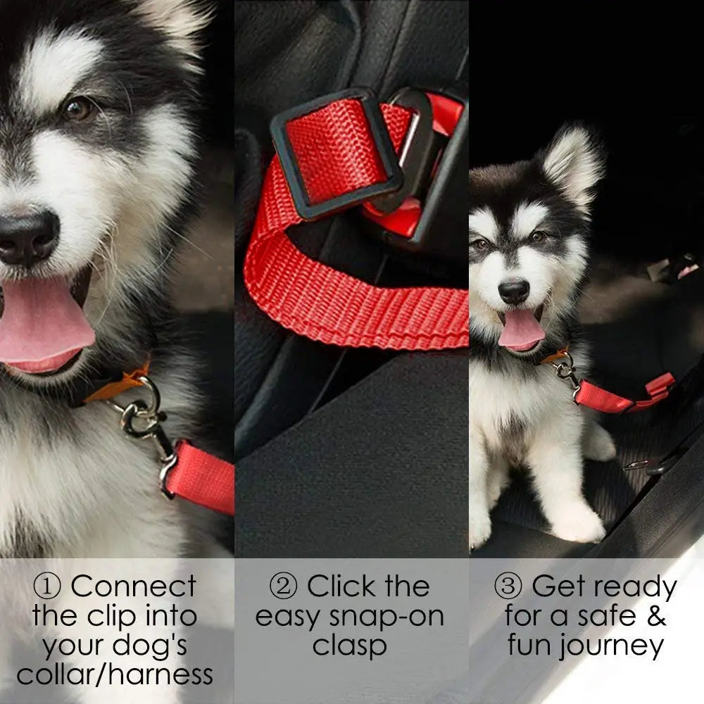 Sangle de sécurité réglable multicolore en nylon pour attacher un animal de compagnie en voiture