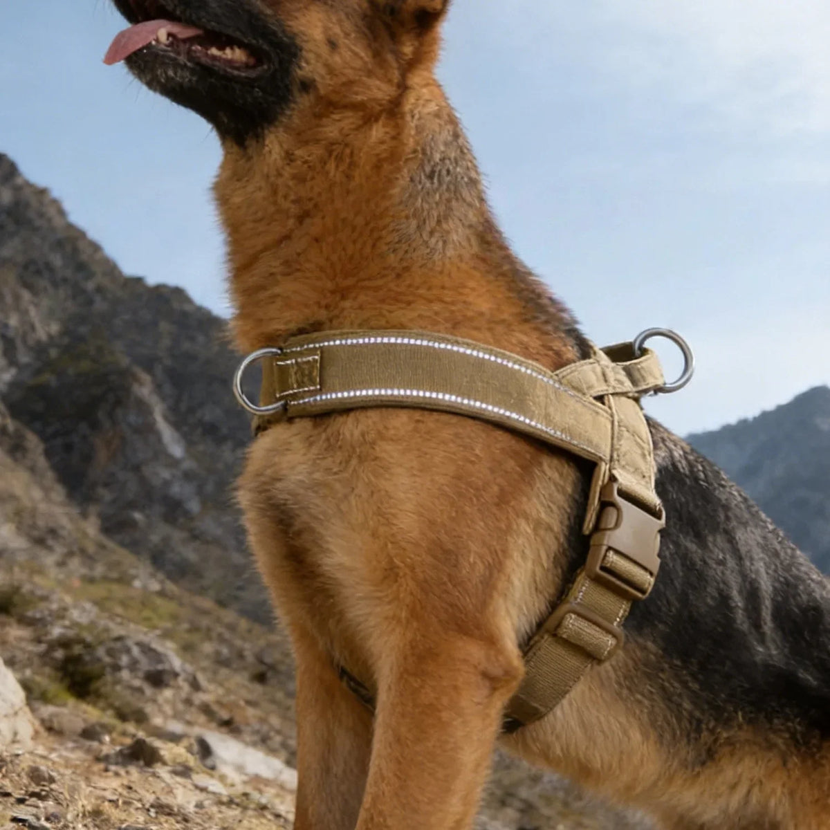 Pettorina regolabile riflettente per cani di taglia grande per passeggiate all'aperto