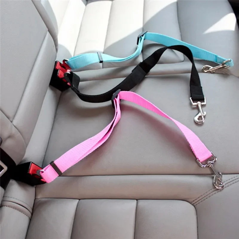 Sangle de sécurité réglable multicolore en nylon pour attacher un animal de compagnie en voiture
