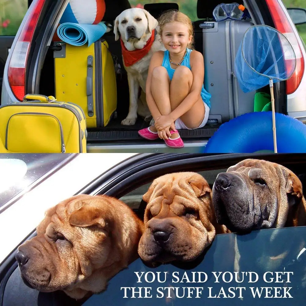 Sangle de sécurité réglable multicolore en nylon pour attacher un animal de compagnie en voiture