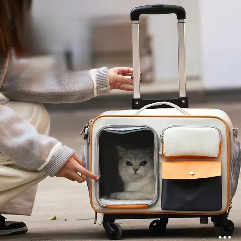 Borsa da Trasporto per Animali con Ruote e Finestra in Rete per Gatti e Cani