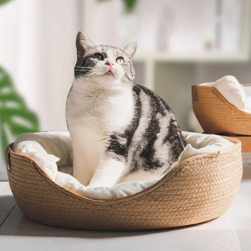 Sofá-Cama Redondo para Animais de Estimação em Trama de Bambu Respirável Almofada Removível Impermeável Aconchegante Ninho de Descanso