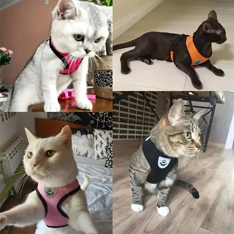 Atmungsaktives Mesh-Westengeschirr mit Leine für Katzen und kleine Hunde