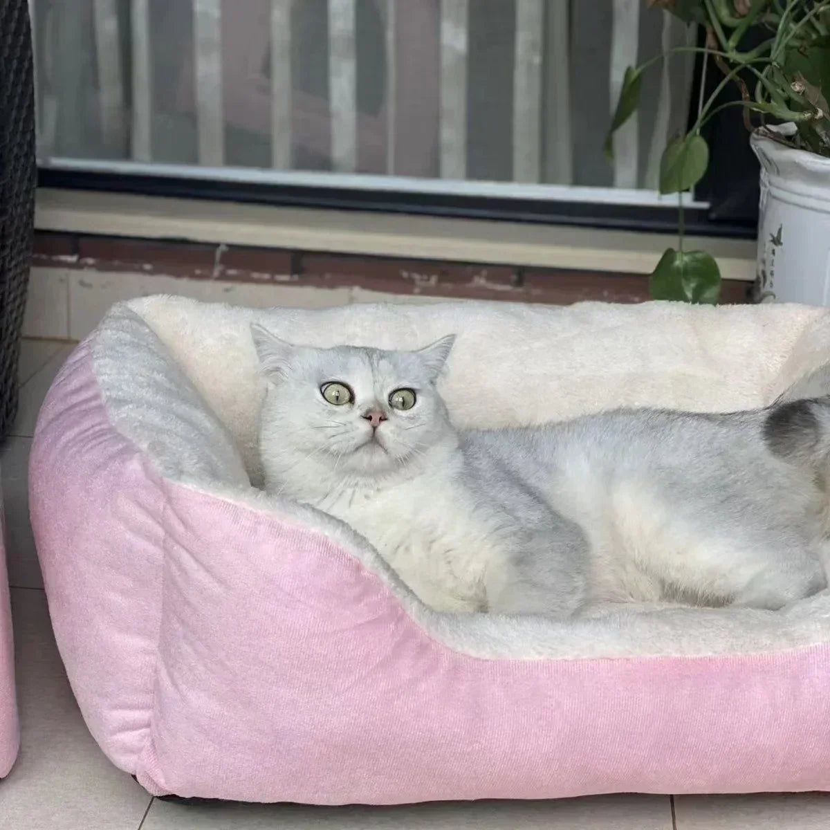 Letto rettangolare morbido in peluche a forma di divano per il riposo di cani e gatti