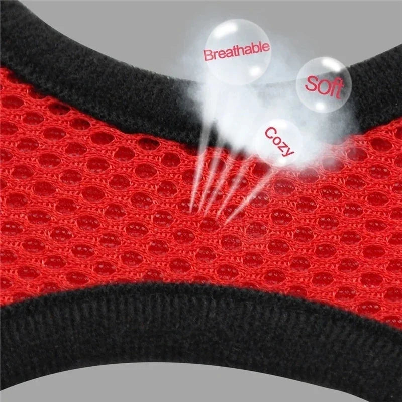 Breathable Mesh Pet Harness with Matching Leash for Cats and Small Dogs