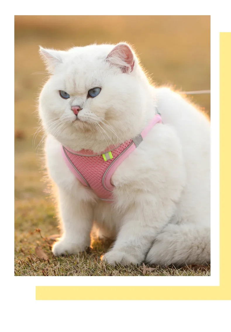 Breathable Reflective Mesh Vest Harness for Cats and Small Dogs
