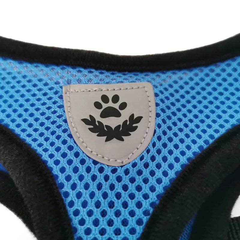 Breathable Mesh Pet Harness with Matching Leash for Cats and Small Dogs